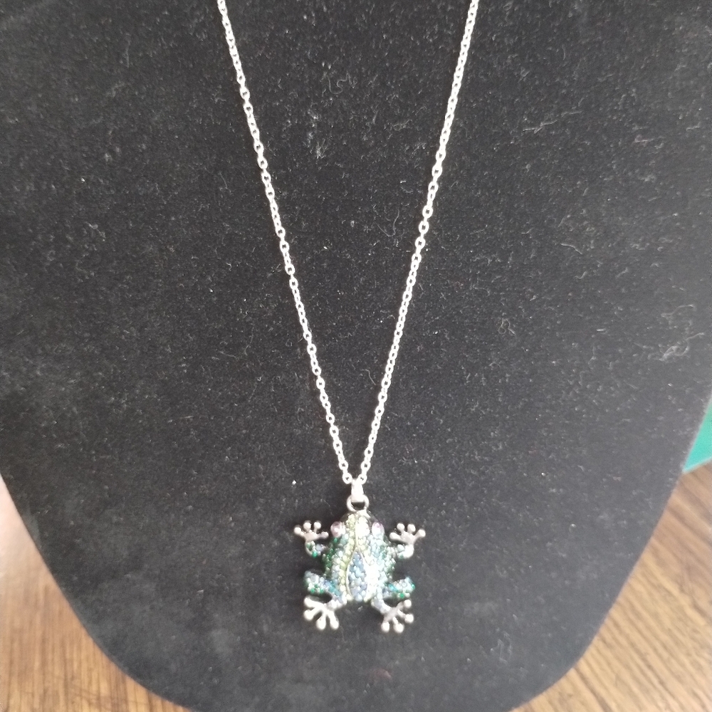Hand Crafted Silver Frog Pendant Necklace